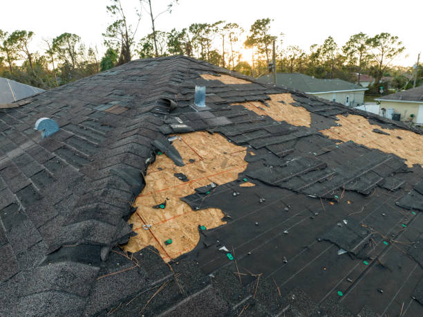 Best Rubber Roofing (EPDM, TPO)  in Caruthersville, MO