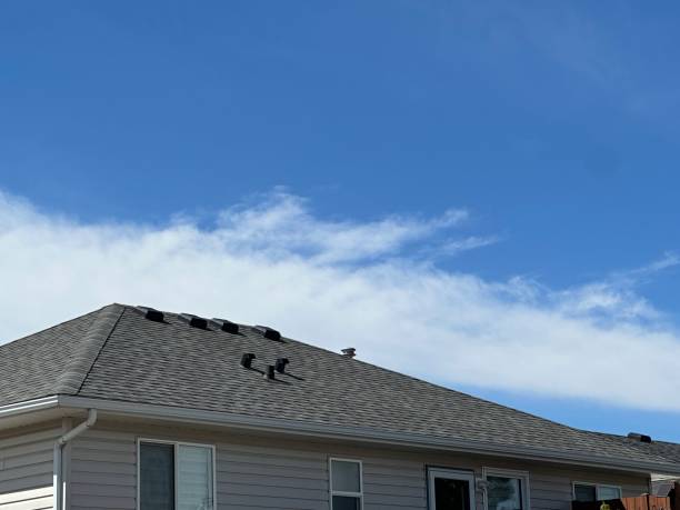 Best Skylight Installation and Repair  in Caruthersville, MO